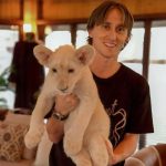 错了南北的头像-幻月